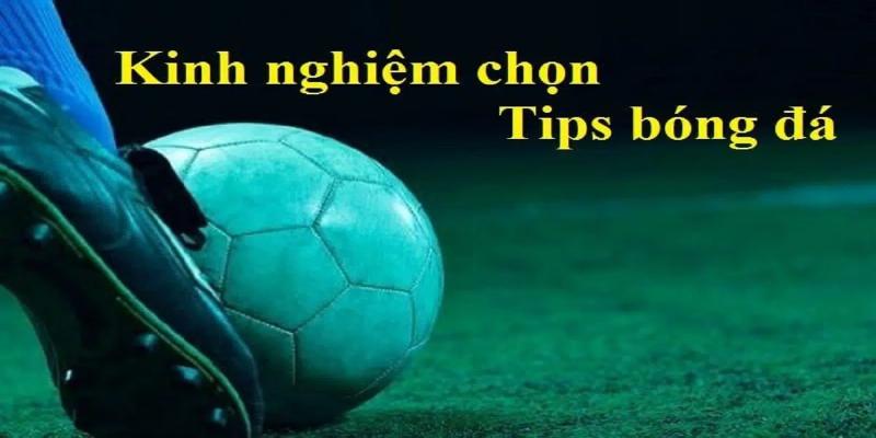 Để tránh các tips bóng đá lừa đảo  người chơi không nên phép trả trước tiền