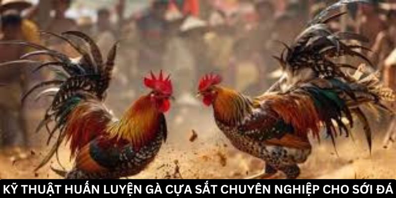 Gà cựa sắt và những tuyệt chiêu chiến thắng không thể bỏ lỡ