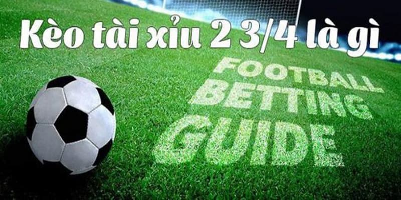 Tài xỉu 2 3/4 - Hướng dẫn chơi và chia sẻ mẹo cược từ 77Bet